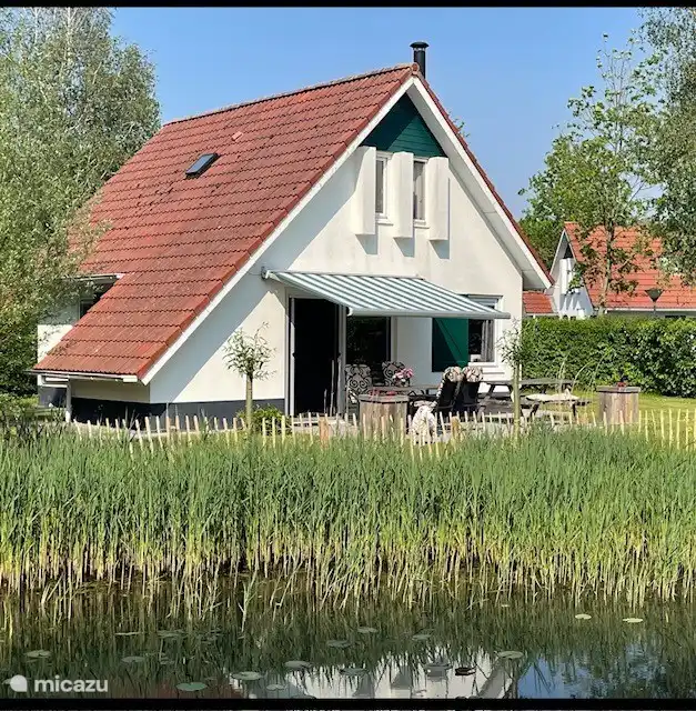 Blick auf den Garten 