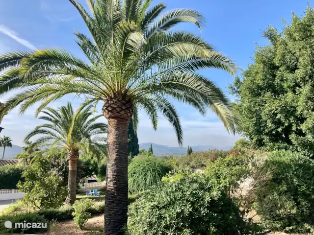 Villa Paso Lento | Espagne, Costa Blanca, Jávea - villa jardin 2