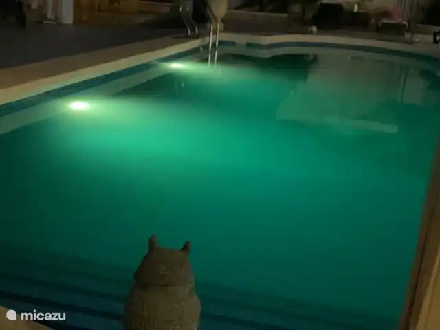 Villa Casa Familia Thijssen en España, Costa Cálida, Camposol - villa Piscina iluminada