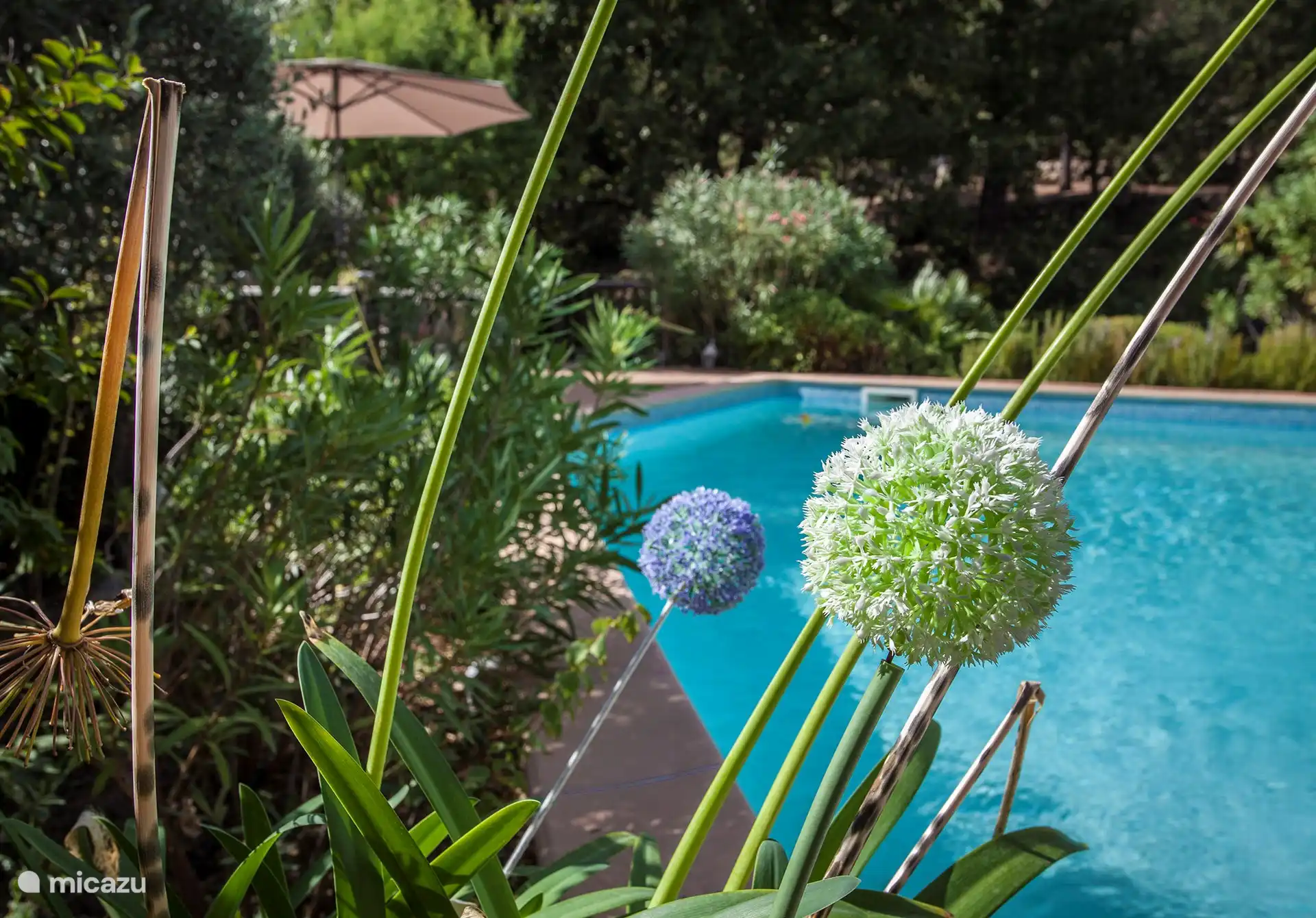 Villa Varoise, Garten mit Swimmingpool aus einer anderen Anordnung