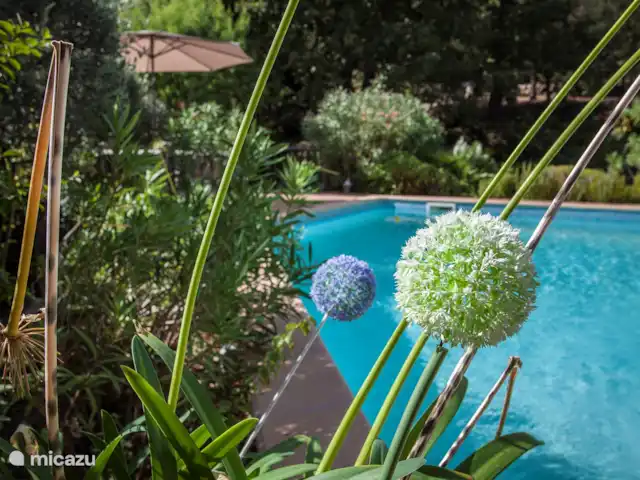 Location de Vacances France, Var, Lorgues, villa - Villa Varoise Villa Varoise, jardin avec piscine d’un agencement différent