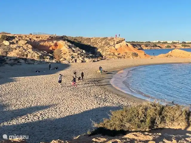 Casa de Cinta huren in Spanje, Costa Blanca, Orihuela Costa - appartement Een van de vele strandjes van Orihuela Costa.