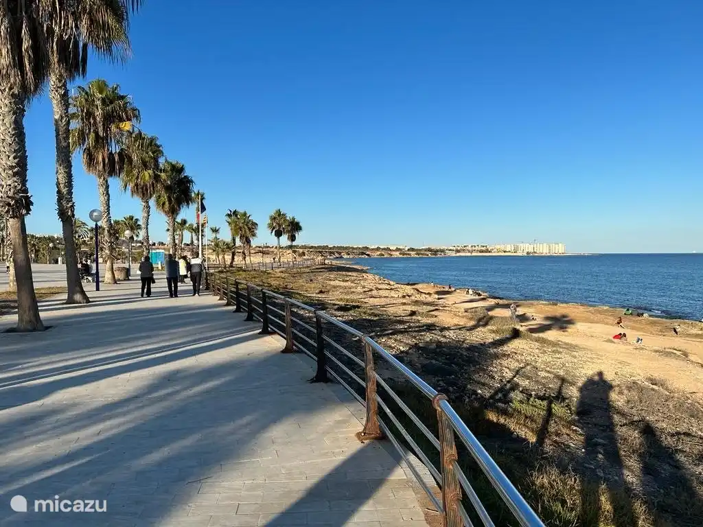 Le beau boulevard où vous pourrez vous promener.