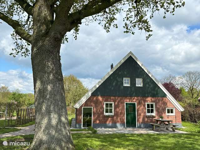 Holiday home in Netherlands, Gelderland, Aalten - holiday house De Welpshof - Under the Oak