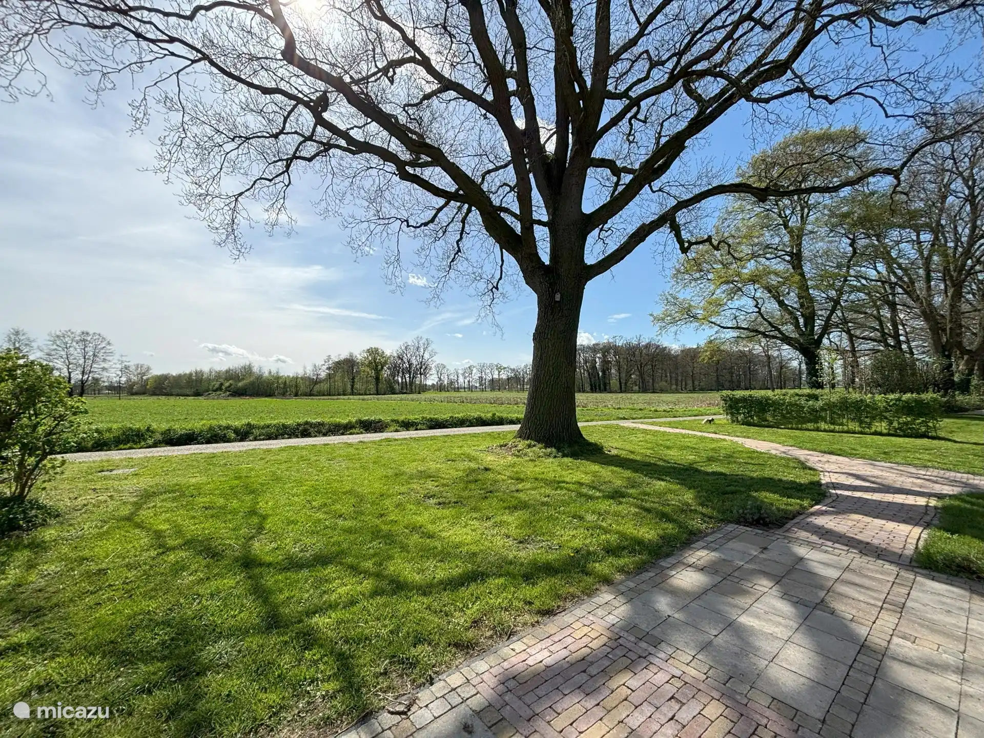 De Welpshof – Unter der Eiche