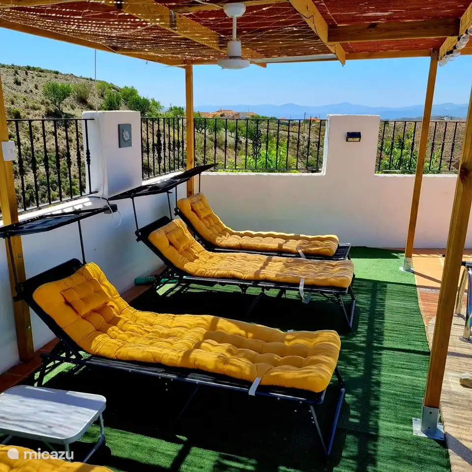 Sun beds by the pool