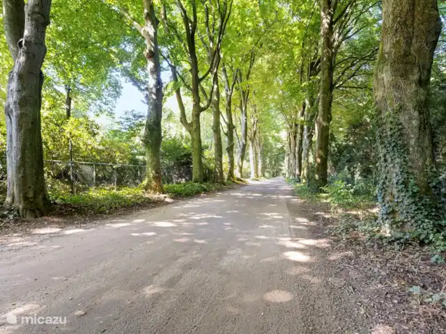 La Villa - vacances sur la Veluwe | Pays-Bas, Gueldre, Bennekom - maison de vacances Horalaan