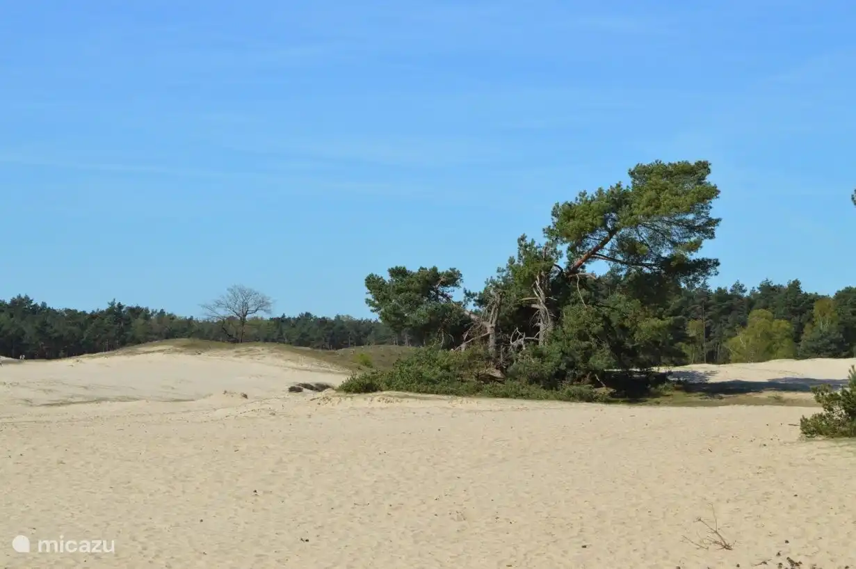 Hoge Veluwe