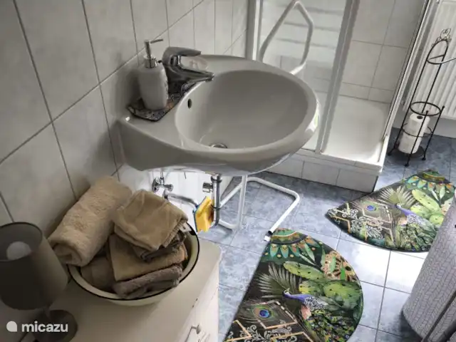 Location de Vacances Allemagne, Rhénanie-Palatinat, Kirchen/Sieg, appartement - Appartement Sander Salle de bain confortable