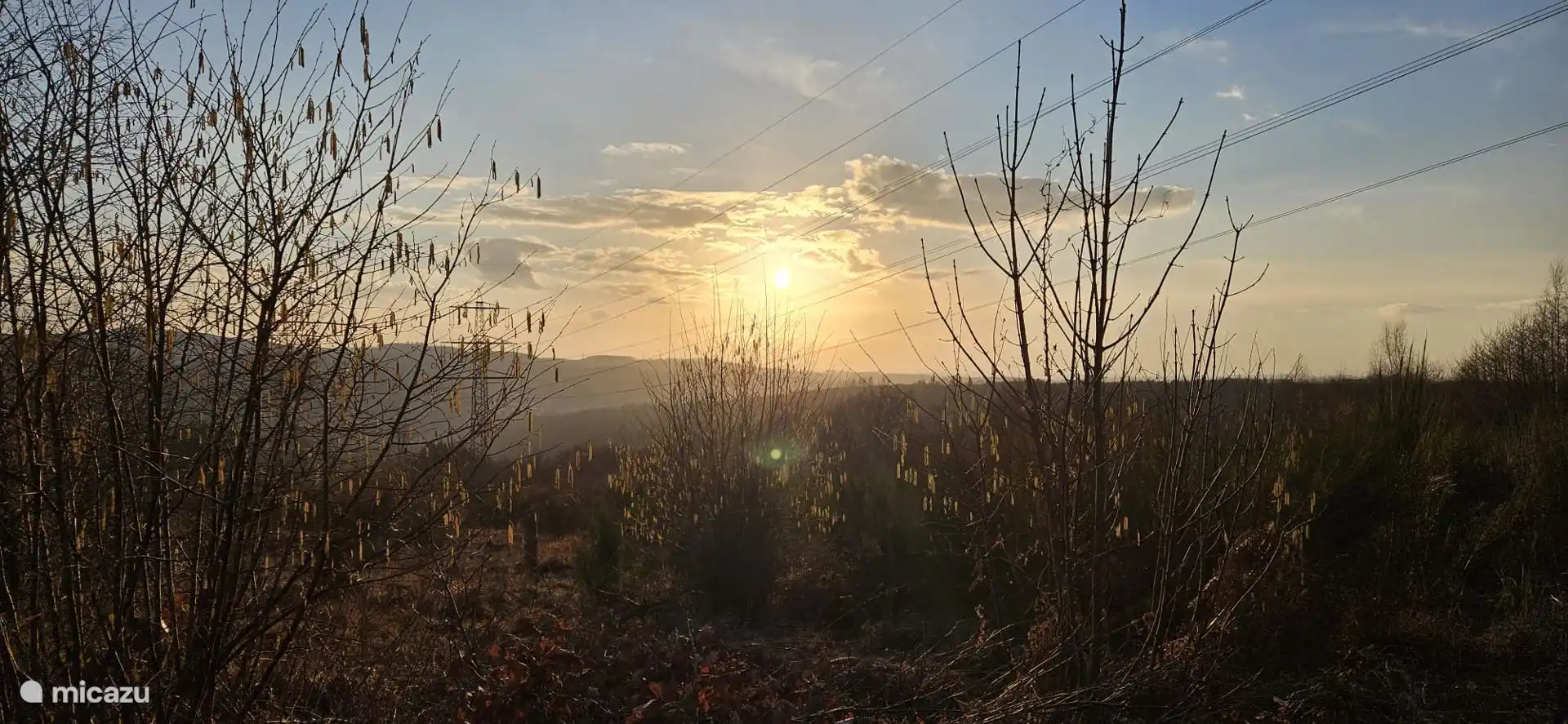 Auch so etwas bekommen Sie zu sehen. 
