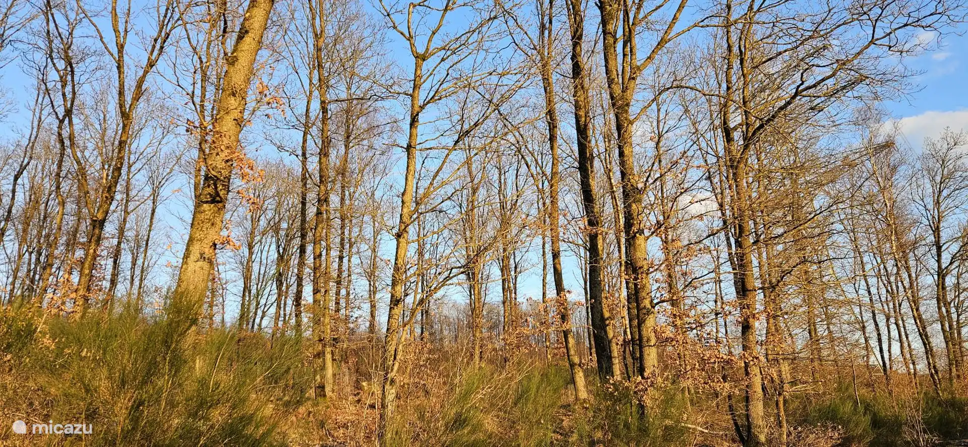 Überall Natur satt für Mensch und Tier. Der Westerwald gilt als das grünste Gebiet Deutschlands. 