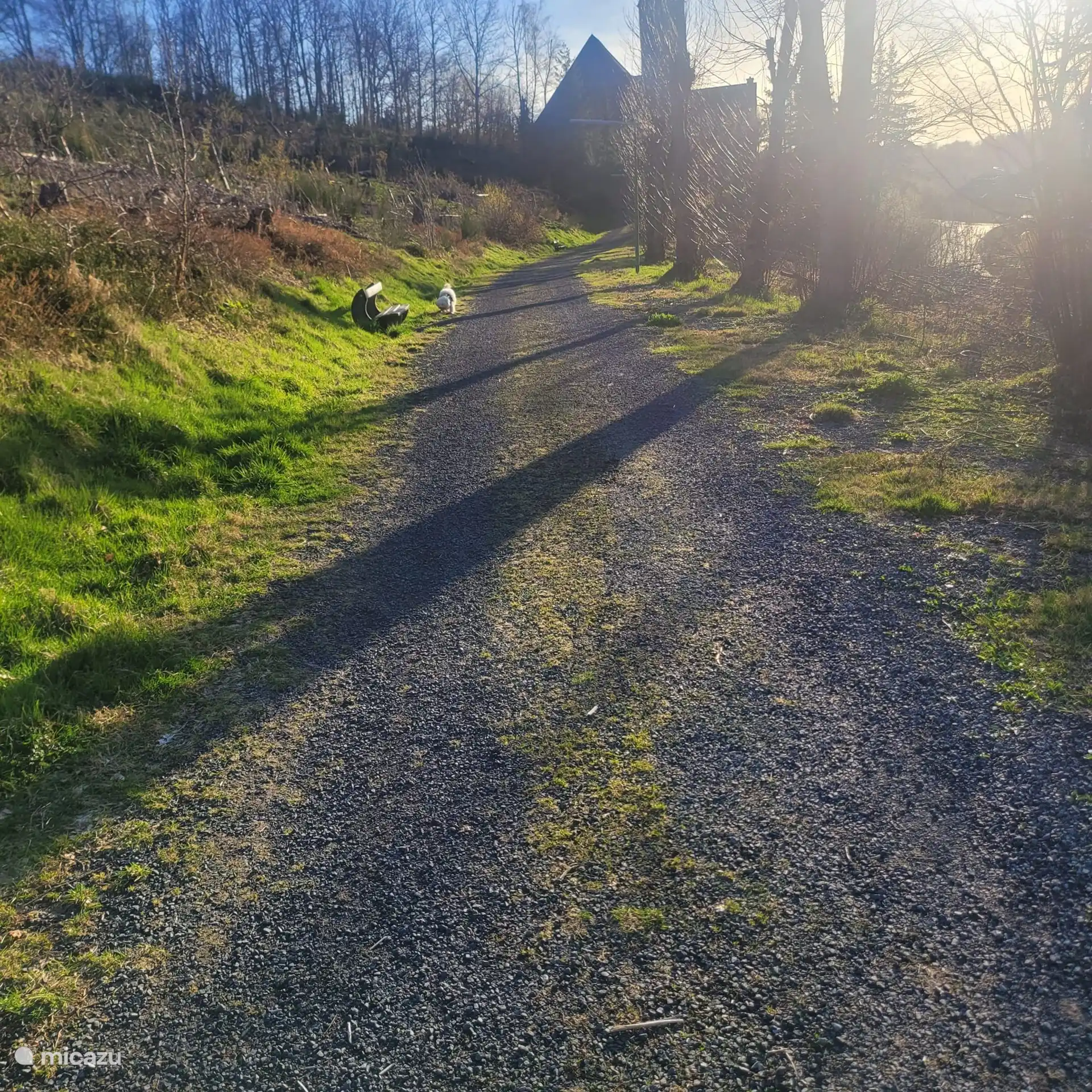 Gassiwege direkt vor der Tür