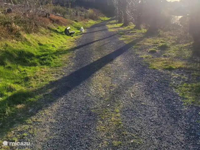 Location de Vacances Allemagne, Rhénanie-Palatinat, Kirchen/Sieg, appartement - Appartement Sander Le chien se promène juste devant la porte