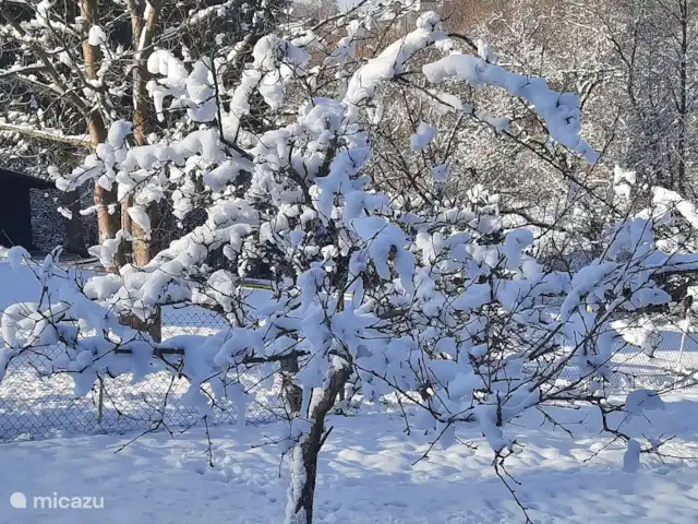 Location de Vacances Allemagne, Rhénanie-Palatinat, Kirchen/Sieg, appartement - Appartement Sander