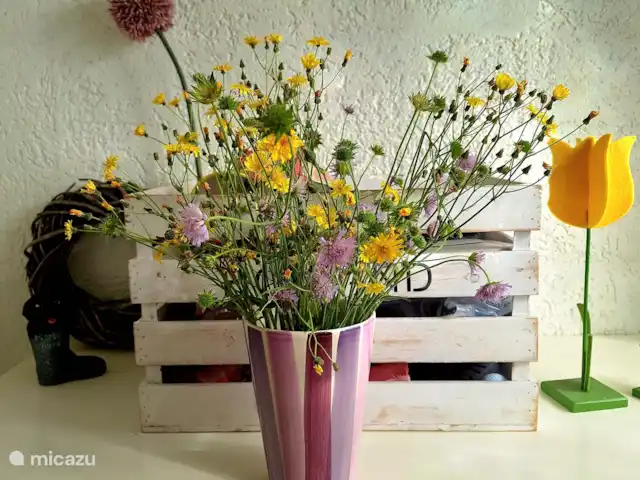 Location de Vacances Allemagne, Rhénanie-Palatinat, Kirchen/Sieg, appartement - Appartement Sander Bienvenue!