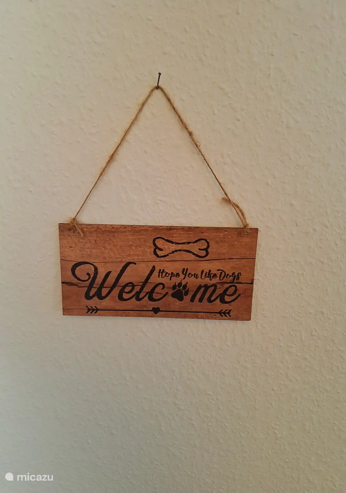 Hunde, max. 2 Stück, wohnen gratis.