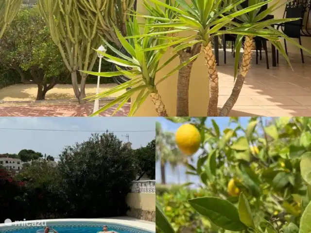 Villa Naranja huren in Spanje, Costa Blanca, Alfáz del Pi - villa Tuin