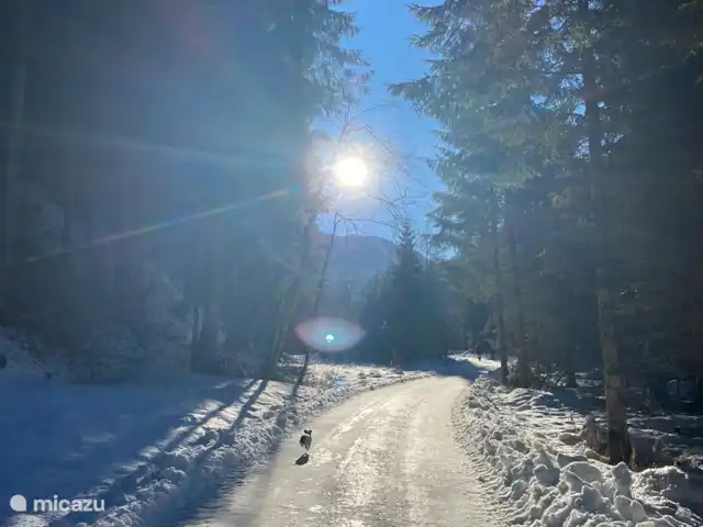 EstudioPepper en Austria, Carintia, Stall - studio lago cercano