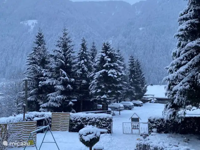 EstudioPepper en Austria, Carintia, Stall - studio Prospecto