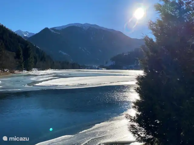 EstudioPepper en Austria, Carintia, Stall - studio Prospecto