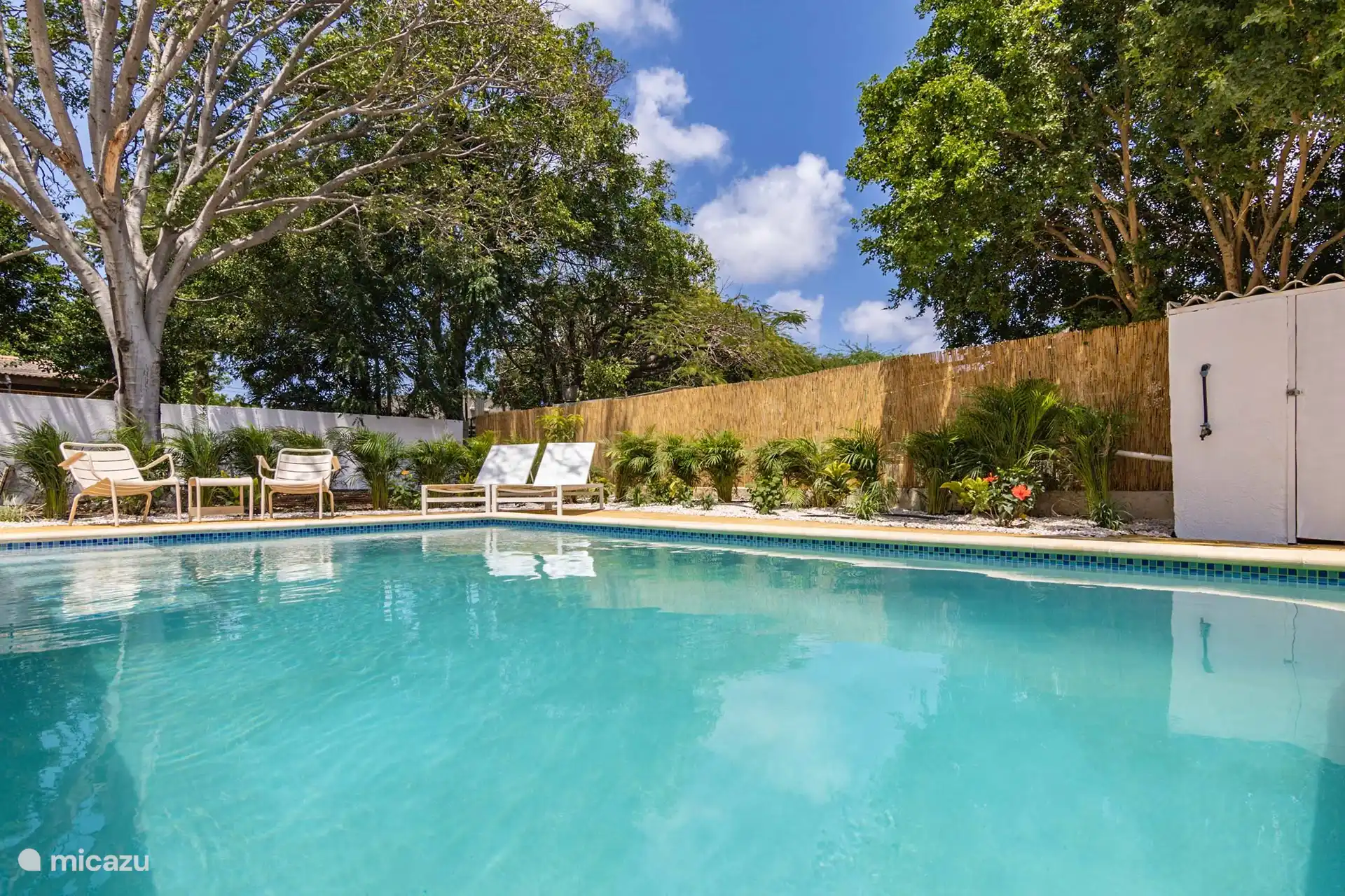 schöner und geräumiger Pool mit Bank und 6 bequemen Sonnenliegen.