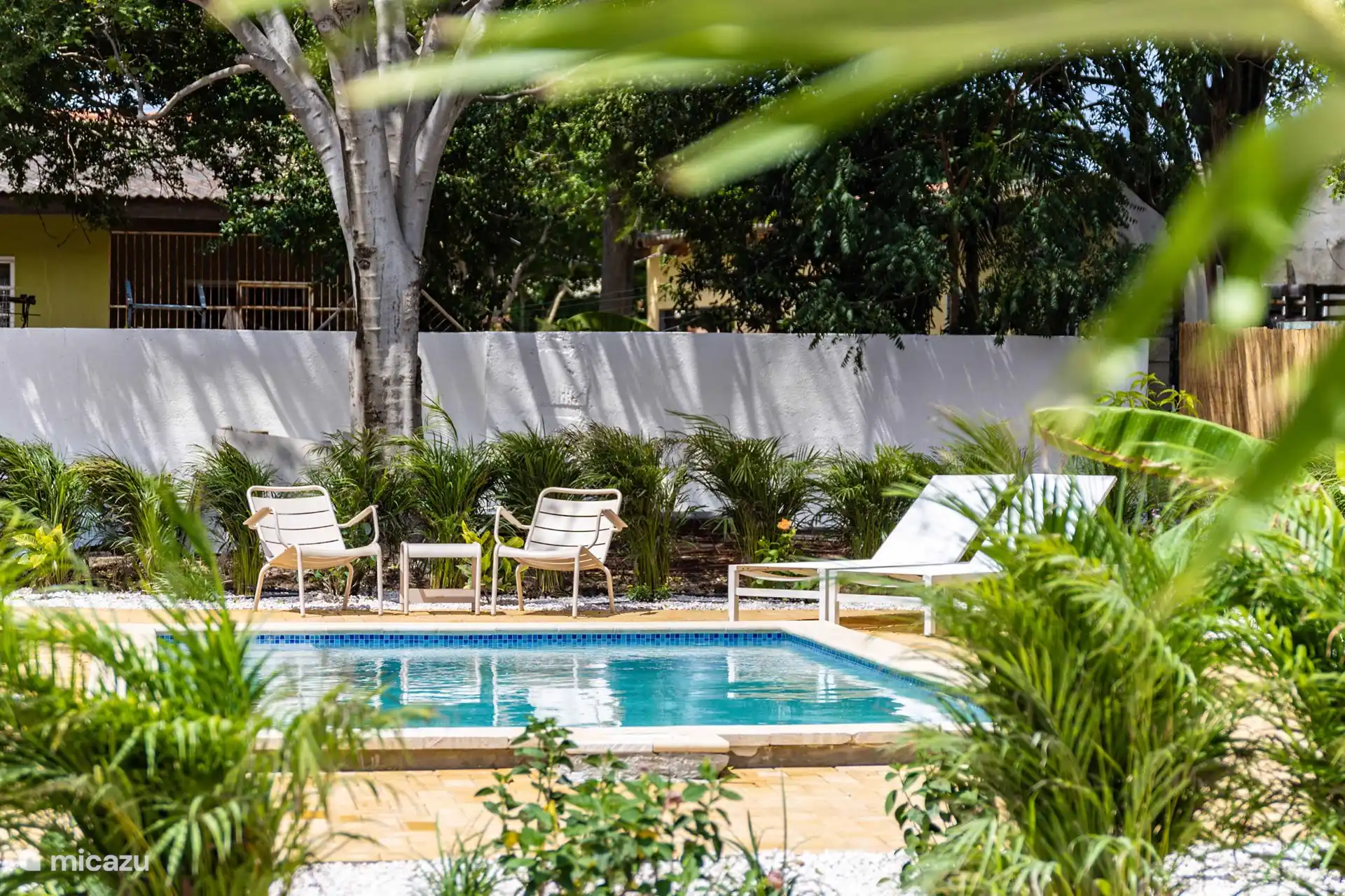 schöner und geräumiger Swimmingpool mit Bank und 6 bequemen Sonnenliegen sowie ein tropischer Garten.