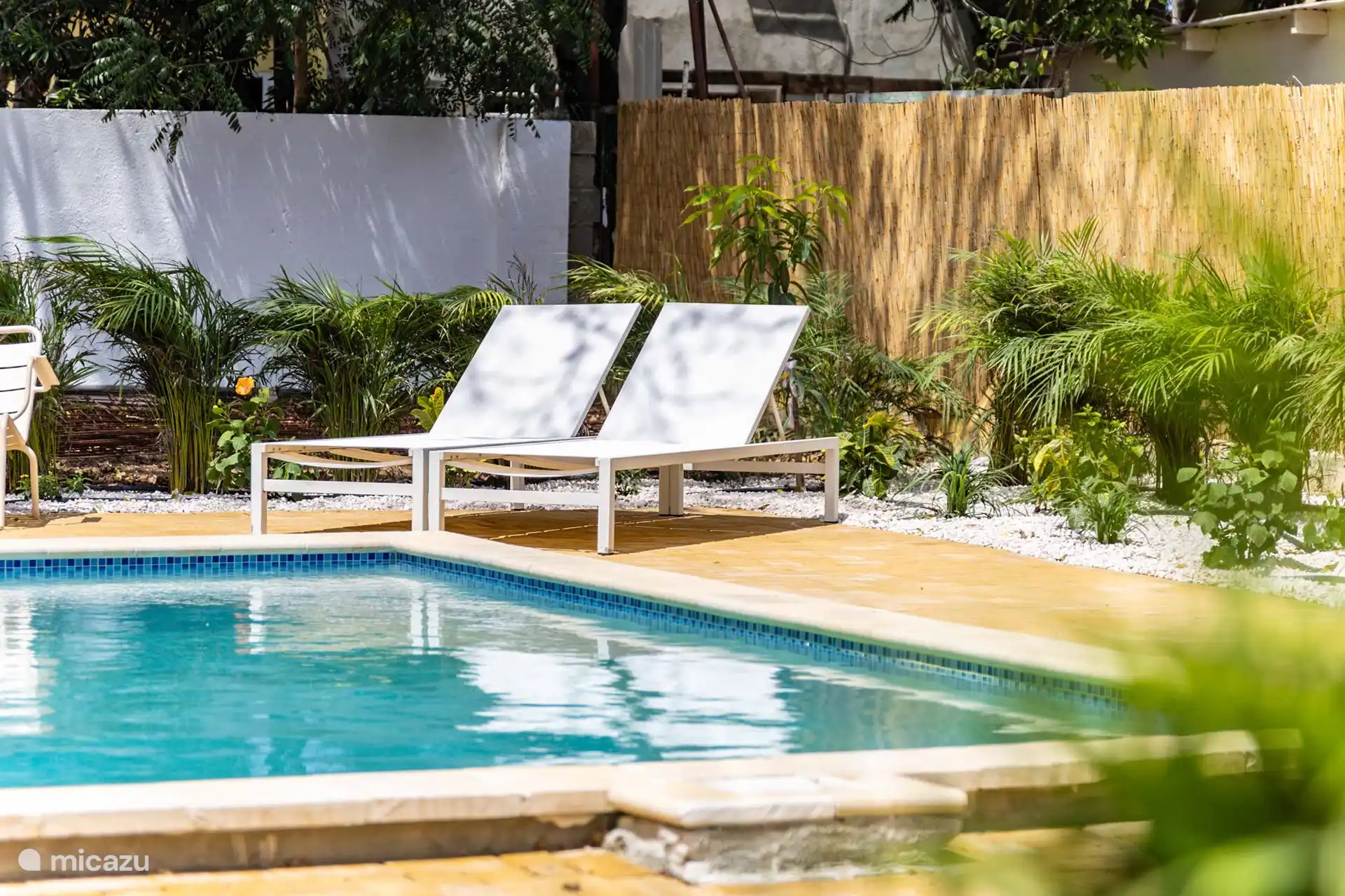 schöner und geräumiger Swimmingpool mit Bank und 6 bequemen Sonnenliegen sowie ein tropischer Garten.