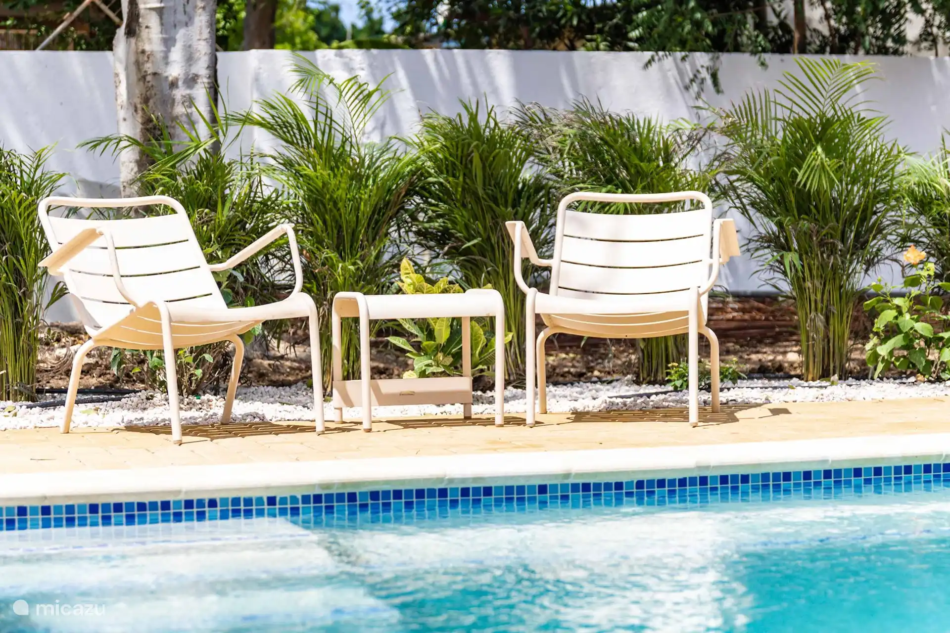 schöner und geräumiger Swimmingpool mit Bank und 6 bequemen Sonnenliegen sowie ein tropischer Garten.