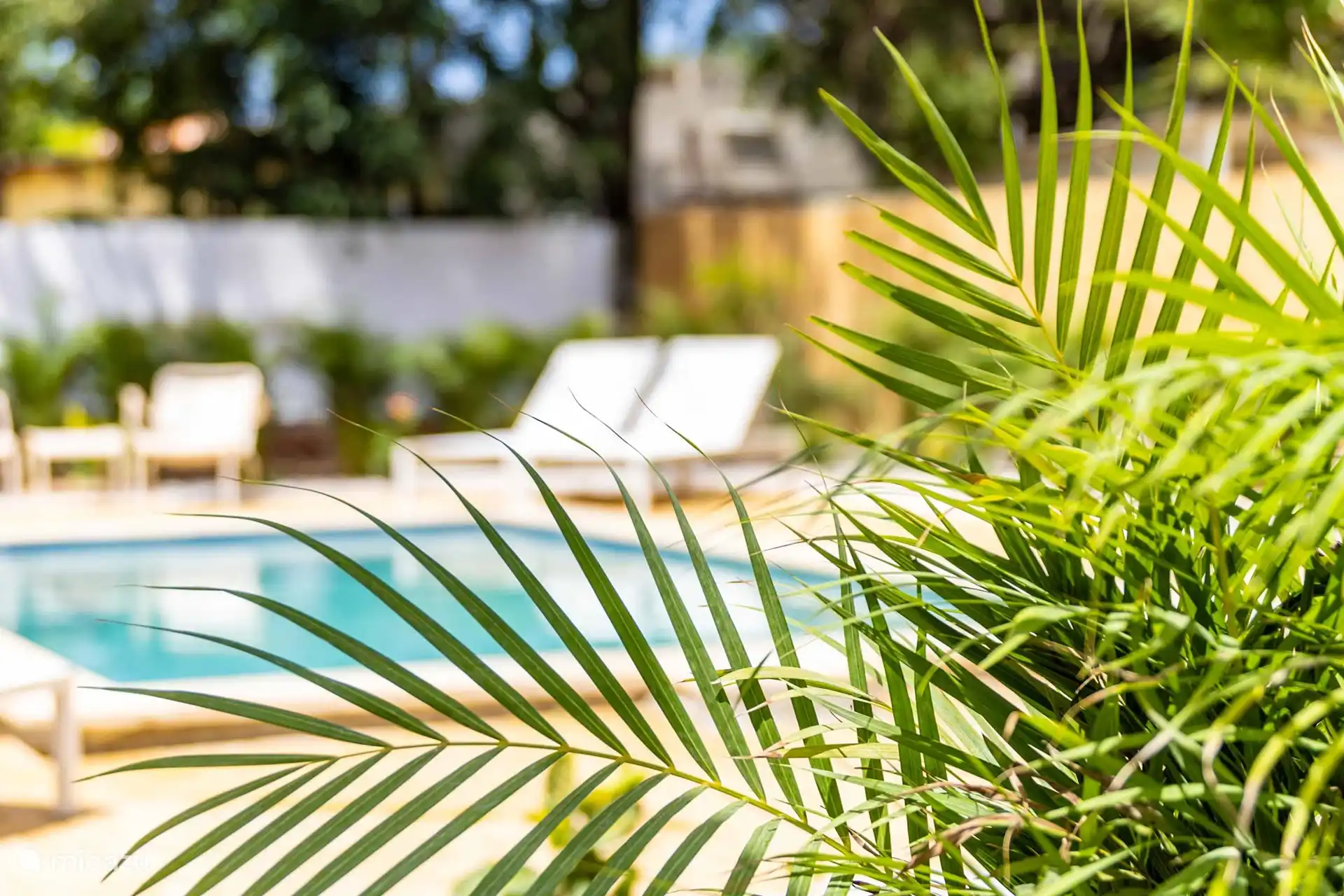 Casa Ameno, MamboStrand 2 Minuten entfernt in Curaçao, Curacao-Mitte, Dominguito - Ferienhaus