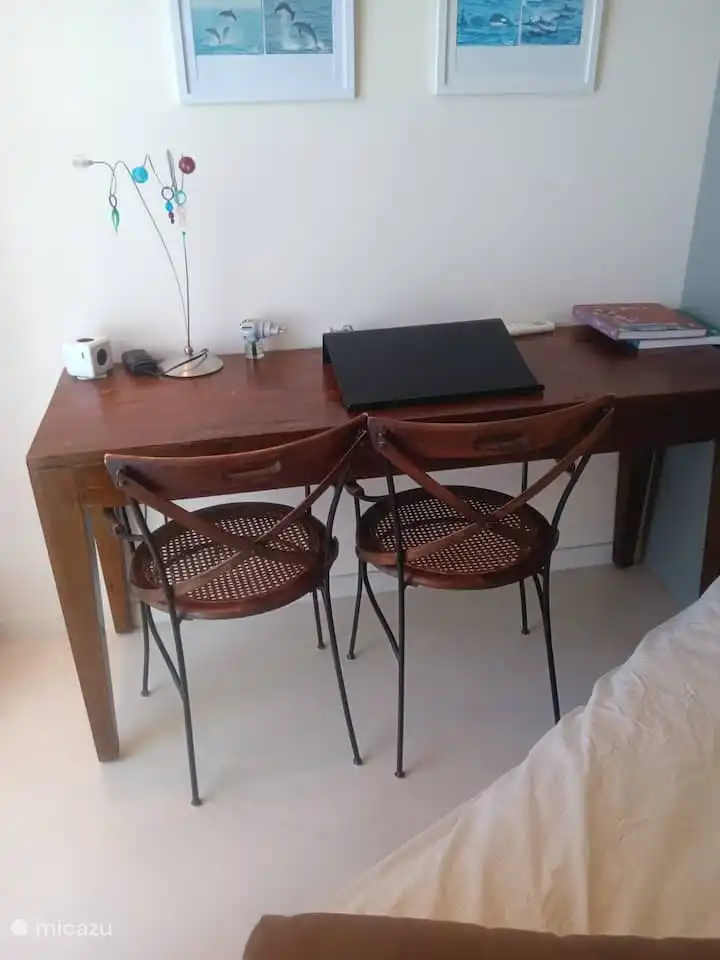 Arbeitszimmer mit Arbeitstisch und zwei Stühlen, Computeranschluss, WLAN, kleiner Bibliothek und bequemer Schlafcouch.