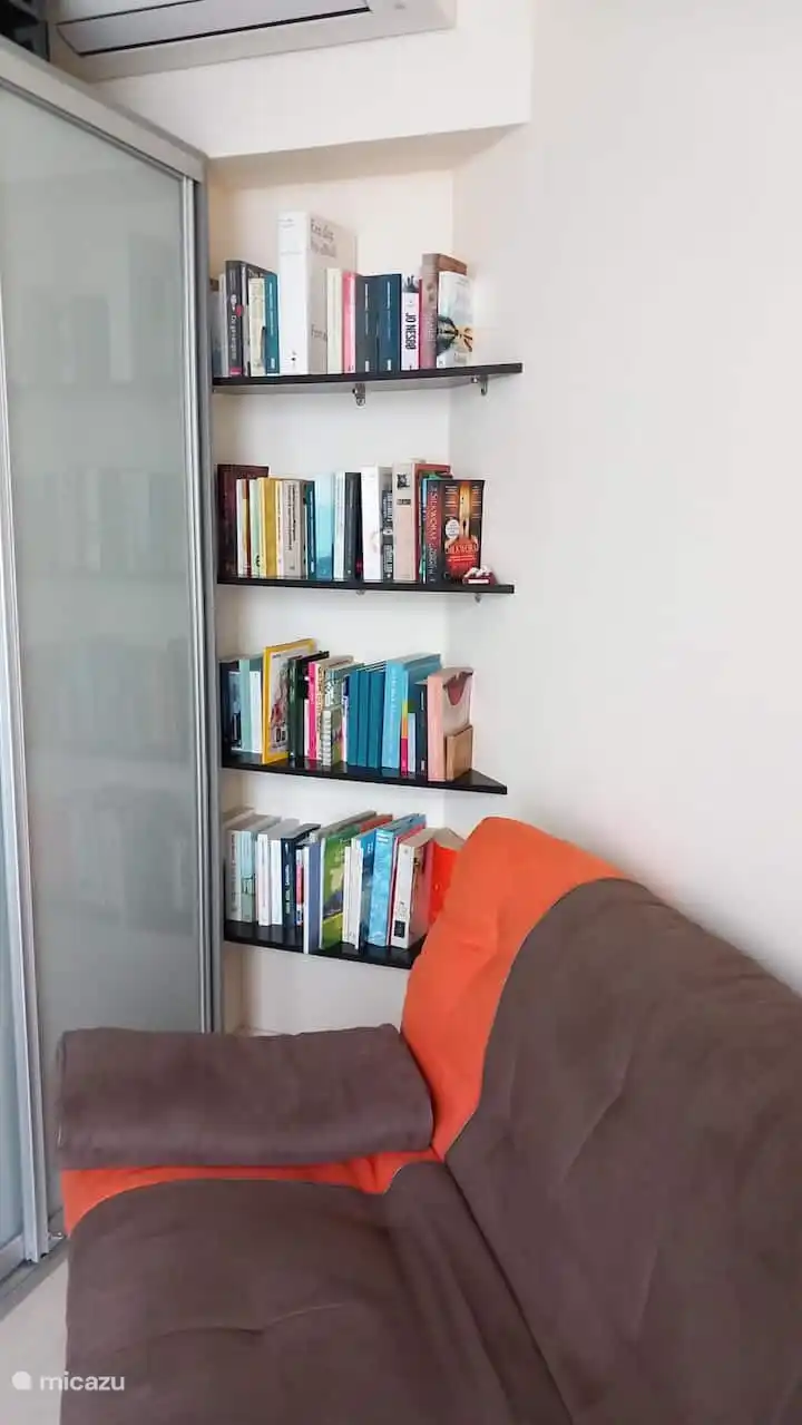 Bequemes Schlafsofa und kleine Bibliothek mit Büchern zum Lesen.