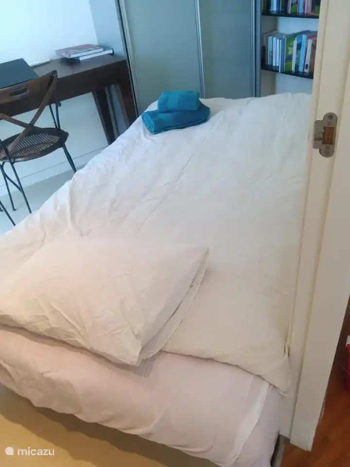 Auf Wunsch kann im Arbeits-/Schlafzimmer eine großzügige Schlafcouch für eine Person aufgestellt werden.