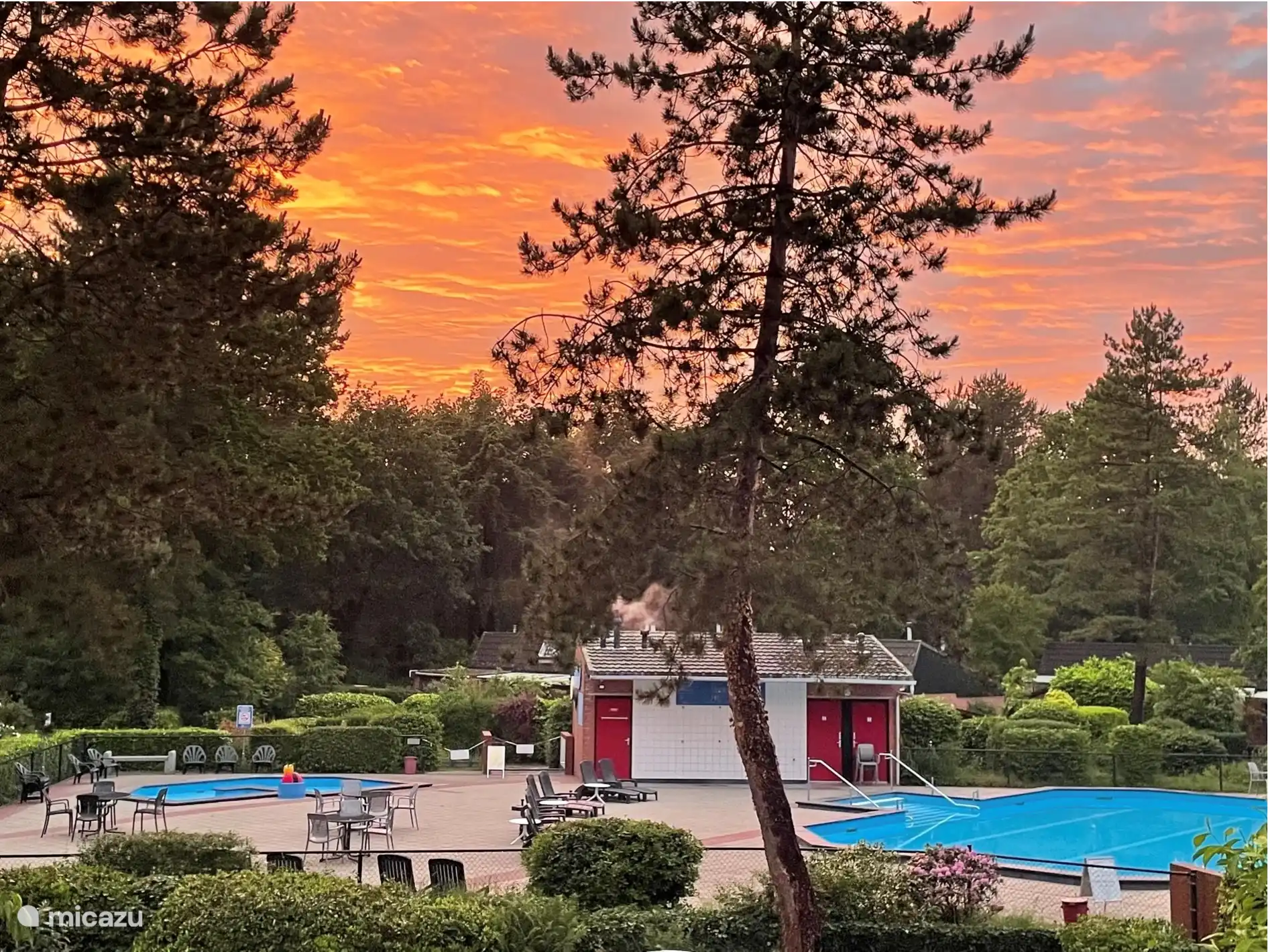 Forest Water House Veluwemeer - swimming pool