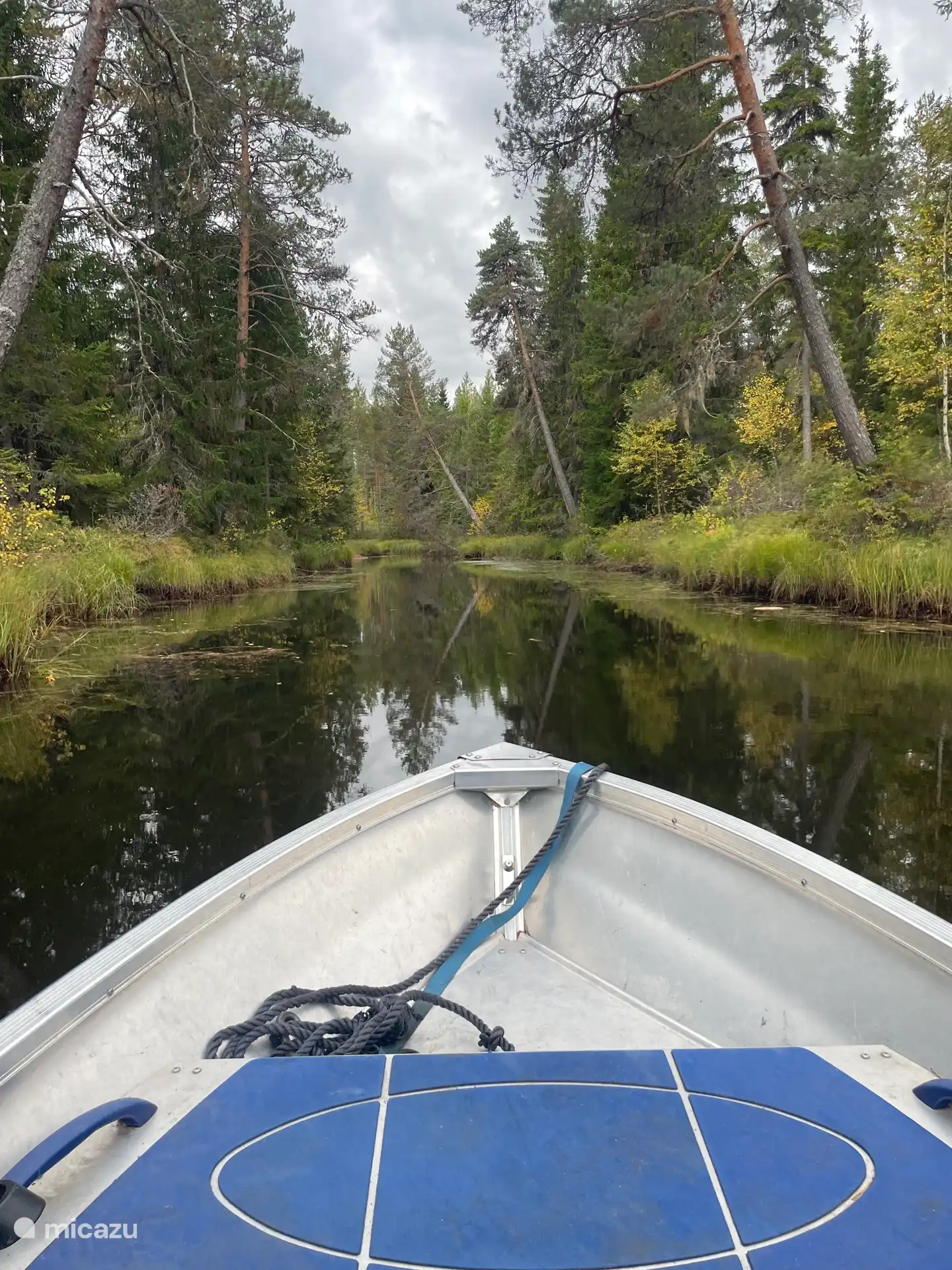Découvrez les magnifiques environs en bateau