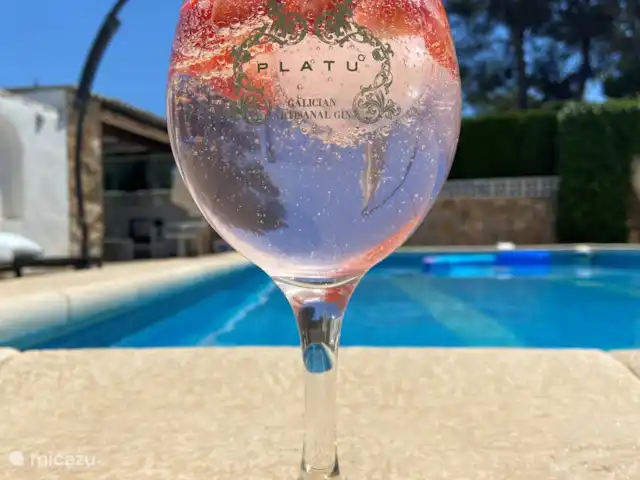 Ohana | Espagne, Costa Blanca, Benissa - villa le gin fraise incontournable