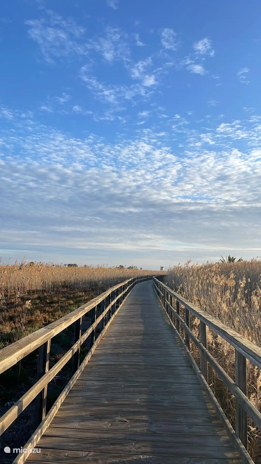 Strandwandeling in de buurt 