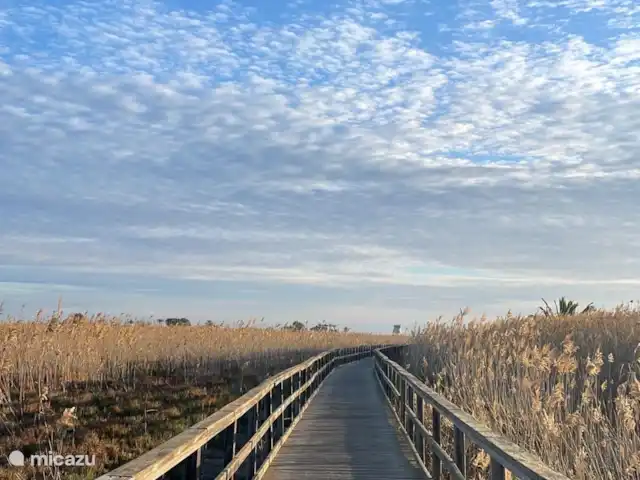 Prachtige zonsopgang  huren in Spanje, Murcia, Los Alcázares - vakantiehuis Strandwandeling in de buurt
