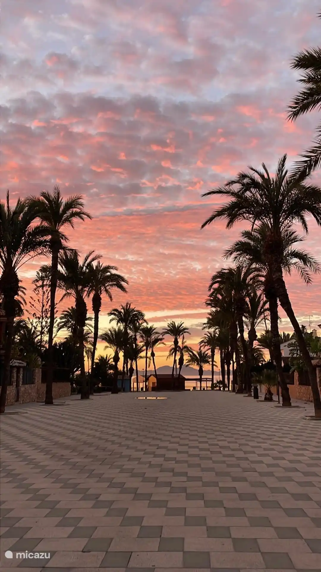 Strandwandeling in de buurt