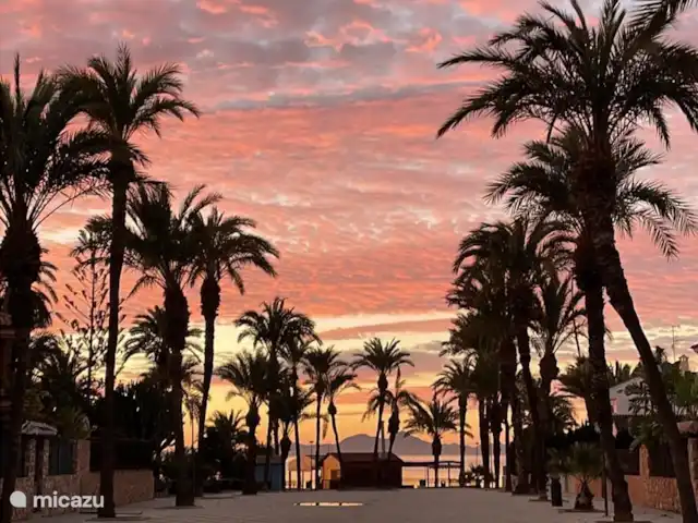 Prachtige zonsopgang  huren in Spanje, Murcia, Los Alcázares - vakantiehuis Strandwandeling in de buurt