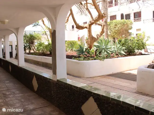 Bahía Amarilla en España, Tenerife, Arona - apartamento Jardines en la parte delantera
