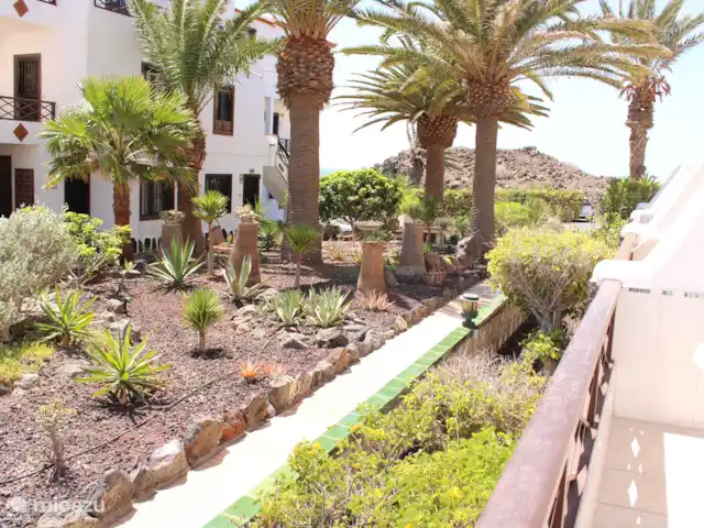 Bahía Amarilla en España, Tenerife, Arona - apartamento jardín