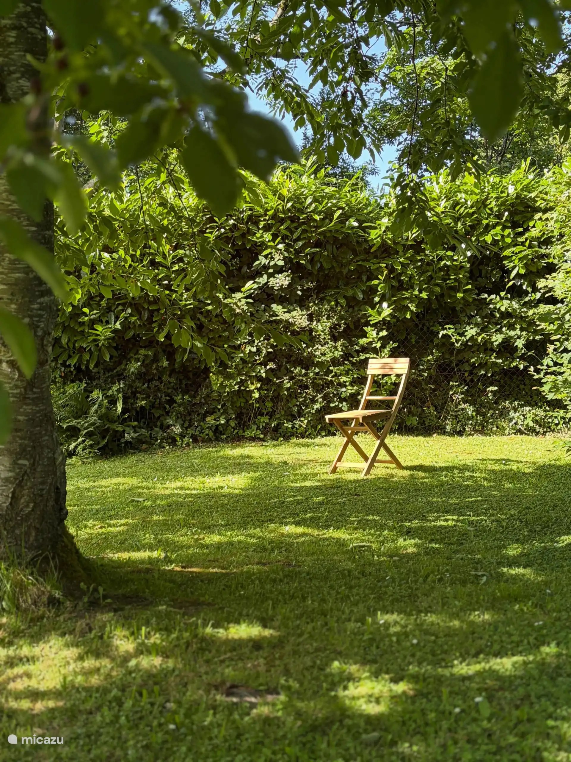 Espace jardin