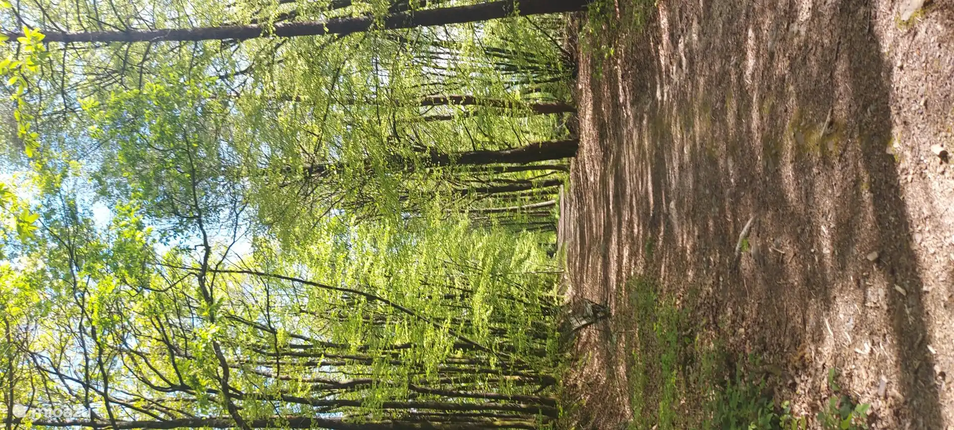 eine der vielen Wanderungen, die angeboten werden