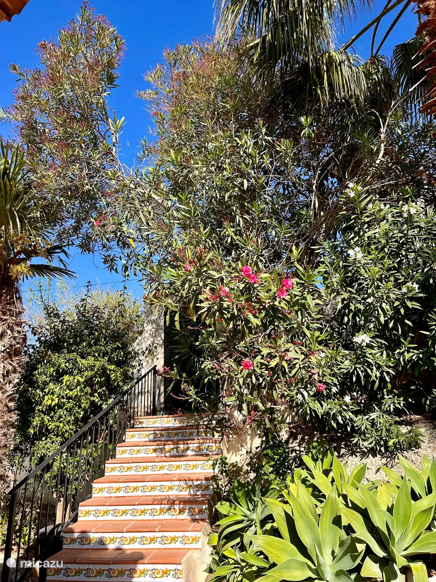 Bloeiende tuin bij ingang