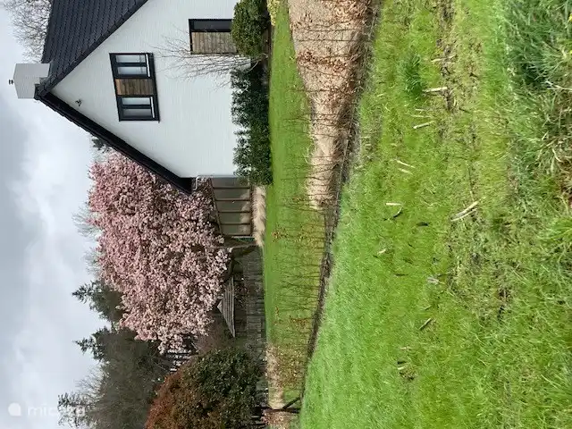 Schöne Aussicht auf den Wald 
