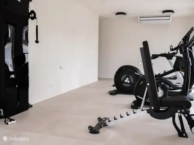 Location de Vacances Curaçao, Curaçao-Centre, Willemstad, appartement - L’appartement de luxe The Wharf MT Beaucoup d’options dans la salle de sport.