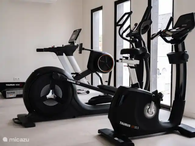 Location de Vacances Curaçao, Curaçao-Centre, Willemstad, appartement - L’appartement de luxe The Wharf MT La salle de fitness. Lorsque vous trouvez qu’il fait trop chaud dehors pour faire de l’exercice.