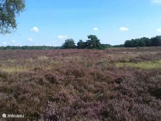 De Akkers huren in Nederland, Drenthe, De Kiel - vakantiehuis heideveld