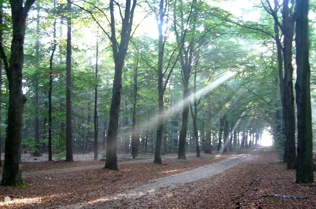 Herbst in De Kiel

Der asphaltierte Radweg
Wir haben ca. 300 verschiedene Fahrradrouten 
und viele Wanderwege