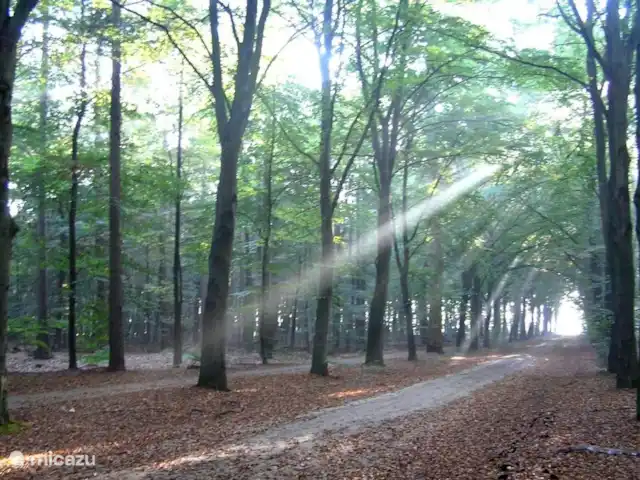De Akkers huren in Nederland, Drenthe, De Kiel - vakantiehuis herfst in De Kiel
het verharde fietspad
wij hebben ongeveer 300 verschillende fiets routes 
en veel wandel routes